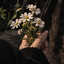 Profile picture of ‌رقیه خانوم✨️‌