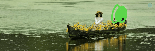 ‌Matin‌'s header picture