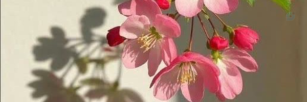 ‌اعظم ذاکری‌'s header picture