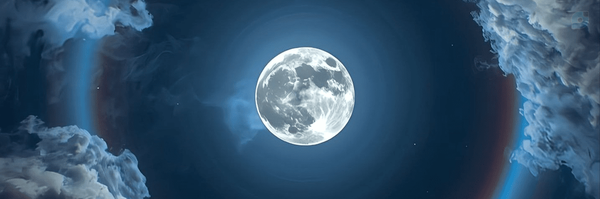 ‌شاهین وهمن زادگان‌'s header picture