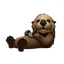 Profile picture of ‌Otter‌
