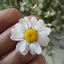 Profile picture of ‌پریسا غلامی‌