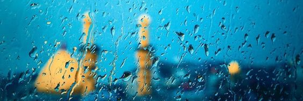 ‌محمّدامین نیل‌فروشان‌'s header picture