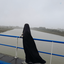Profile picture of ‌فاطمه سادات هاشمی‌