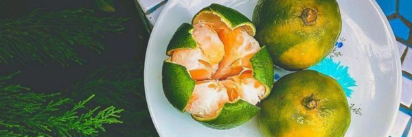 ‌خوره های کتاب‌'s header picture