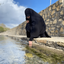 Profile picture of ‌ریـــحام ☫‌