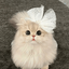 Profile picture of ‌Luna‌