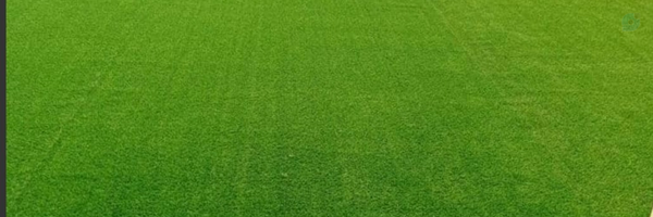 ‌ماه بانو‌'s header picture