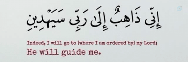 ‌سیدحسن موسوی‌'s header picture