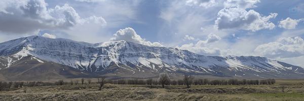 ‌منیره سعیدی‌'s header picture
