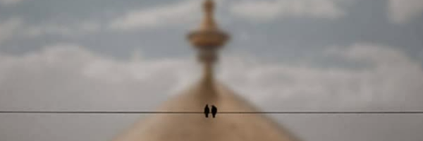 ‌م امیری‌'s header picture