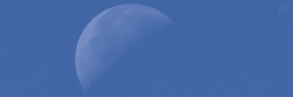 ‌ساکورا‌'s header picture