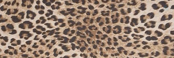 ‌TÆRGËT‌'s header picture