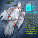 Profile picture of ‌ولایت قضاندارد‌