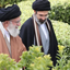 Profile picture of ‌امید‌