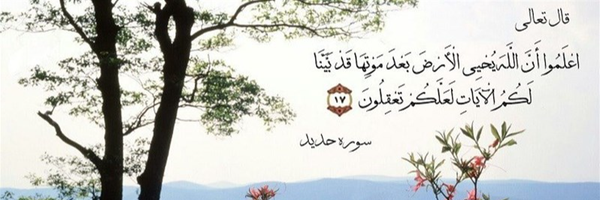 ‌مهدی صالحی‌'s header picture