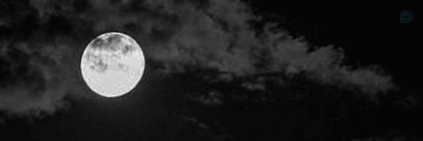 ‌هَنودْ...‌'s header picture