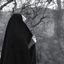 Profile picture of ‌بانو خاتونی‌