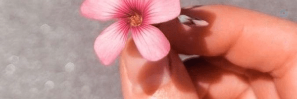 ‌Mahour‌'s header picture