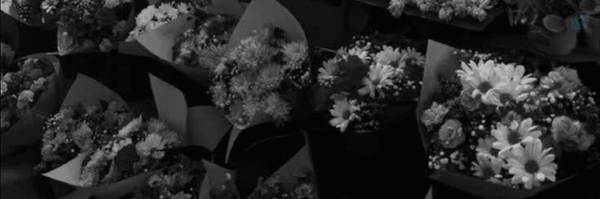 ‌𝐞𝐬𝐫𝐚‌'s header picture