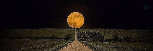 ‌M.hossein‌'s header picture