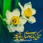 Profile picture of ‌احمد‌