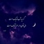 Profile picture of ‌برفاب‌