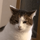 Profile picture of ‌𐬔𐬭𐬠𐬵  𐬠𐬈𐬀𐬯𐬁𐬠 |GorbeBiiasaab‌