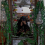 Profile picture of ‌گل باقالی‌