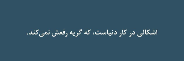 ‌Basiji🇮🇷‌'s header picture