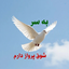 Profile picture of ‌عاطفه بهرامی‌