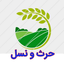 Profile picture of ‌حرث و نسل‌