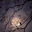 Profile picture of ‌Zohre. .Jf‌