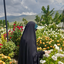 Profile picture of ‌مهوا پیری‌