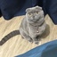 Profile picture of ‌user1748160329191519944‌