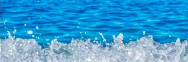 ‌Arsina‌'s header picture