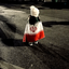 Profile picture of ‌[. نیـ♬ـلو♡ .]‌