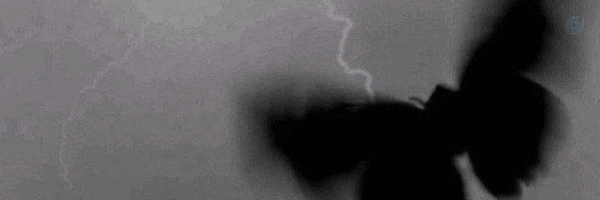 ‌ROZ‌'s header picture