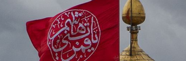 ‌مجتبی ولی زاده 🇮🇷🇵🇸‌'s header picture