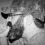 Profile picture of ‌مجتبی سلوک‌