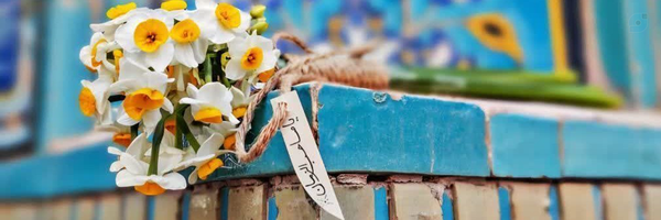 ‌مهری جلالی‌'s header picture