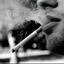 Profile picture of ‌یاسر***🍁‌