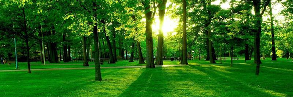 ‌فاطمه موحدی‌'s header picture