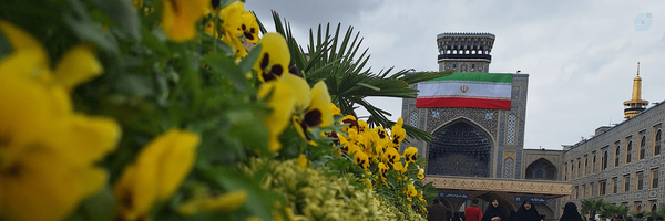 ‌Zizi‌'s header picture