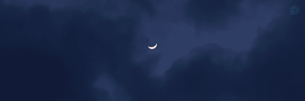 ‌خانومـ في في🎀‌'s header picture