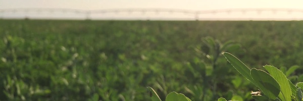 ‌محمدجواد مطهری شریف‌'s header picture