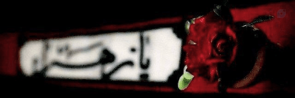 ‌زینب سآدات‌'s header picture