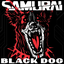 Black Dog