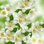 Profile picture of ‌فاطمه بانو‌
