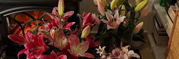 ‌حاج فاطمه؛off‌'s header picture